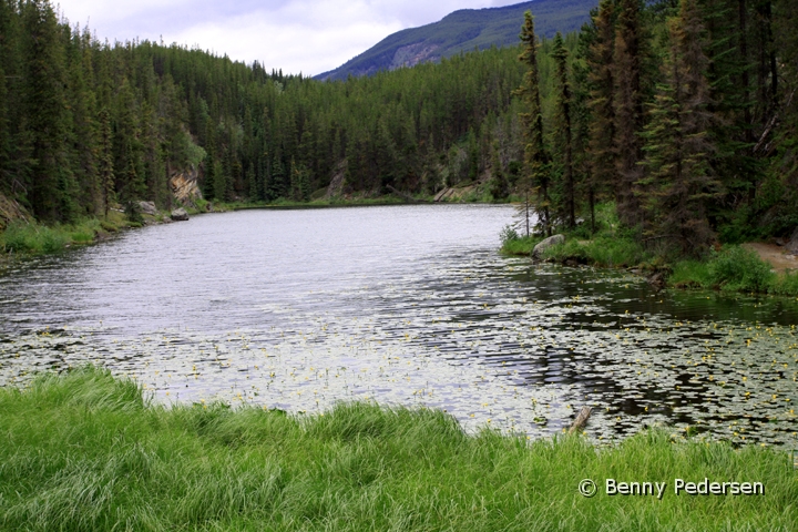 Ved Yellowhead Pass.jpg - Ved Yellowhead Pass